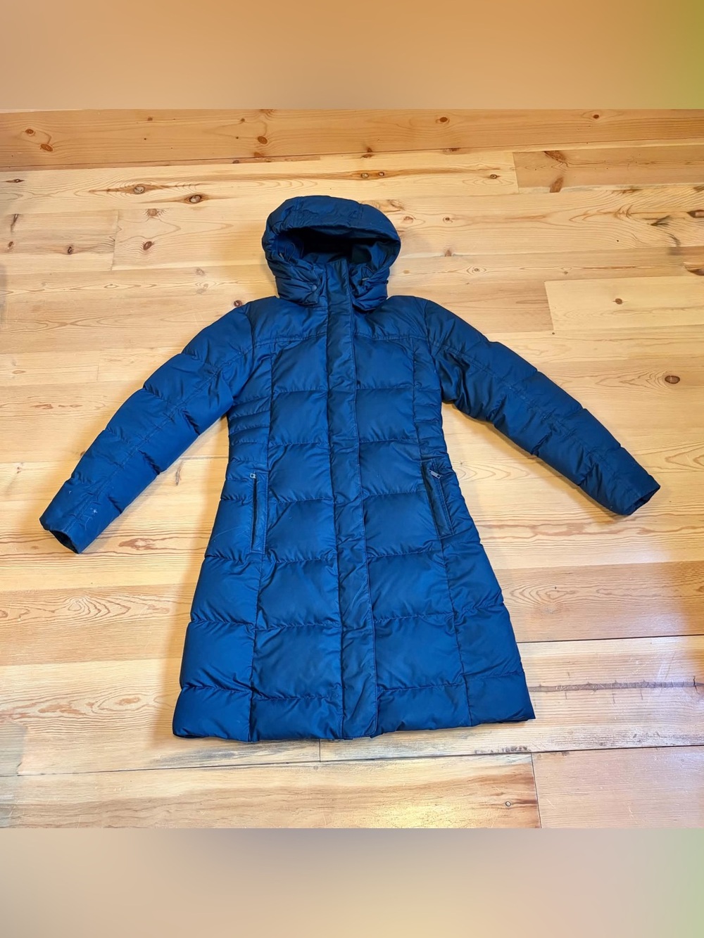 Patagonia Down With It Parka